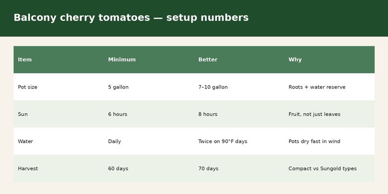 How to Grow Cherry Tomatoes on an Apartment Balcony