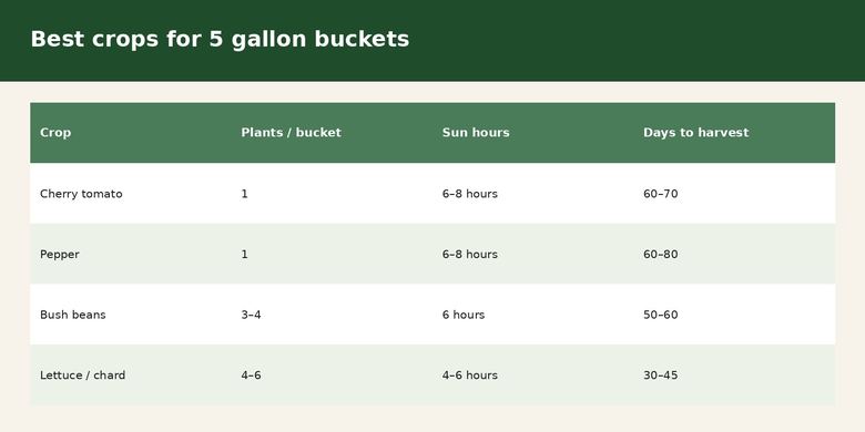 Best Vegetables to Grow in 5 Gallon Buckets