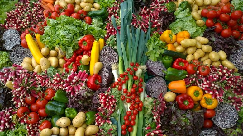Renter’s Guide: Vegetable Garden You Can Move When You Leave