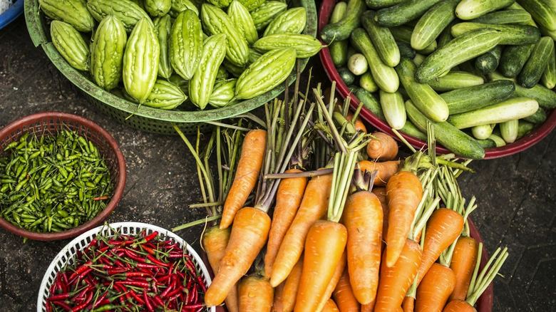 Deer Resistant Vegetable Garden: What They Still Eat (Honest List)