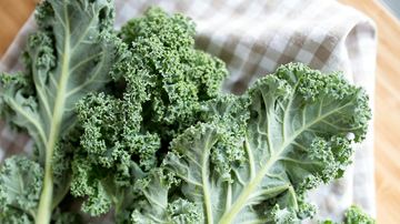 Holes in Kale Leaves: What’s Eating Them and How to Stop It
