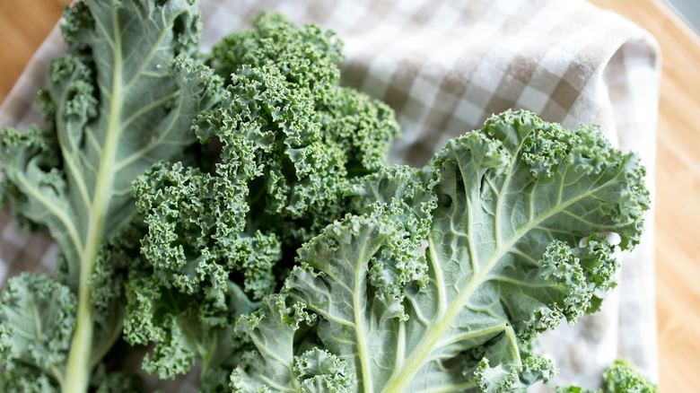 Holes in Kale Leaves: What’s Eating Them and How to Stop It