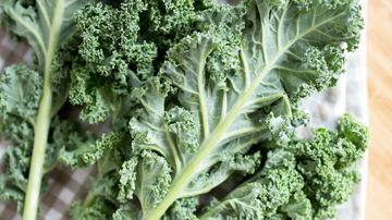 Holes in Kale Leaves: What’s Eating Them and How to Stop It