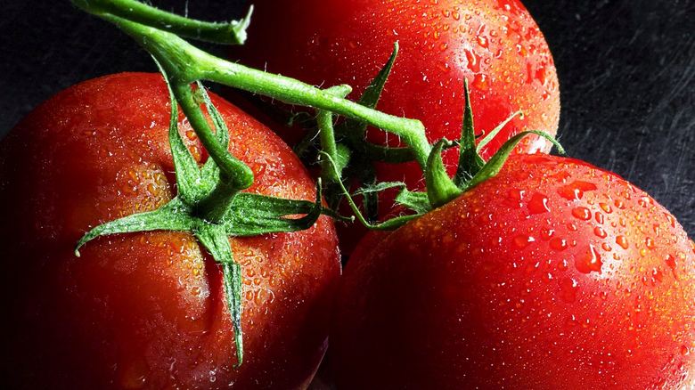 How to Grow Cherry Tomatoes on an Apartment Balcony