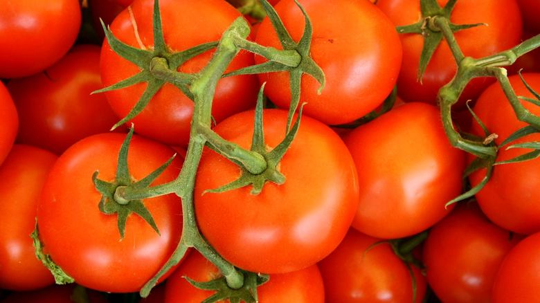 How to Grow Cherry Tomatoes on an Apartment Balcony