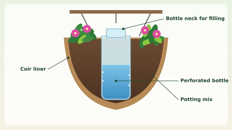 Self-Watering Hanging Baskets: DIY Build and Best Plants