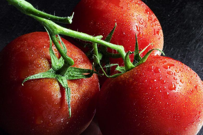 Why Are My Tomato Leaves Curling Up? (And When to Worry)